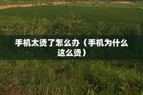 手机太烫了怎么办（手机为什么这么烫）