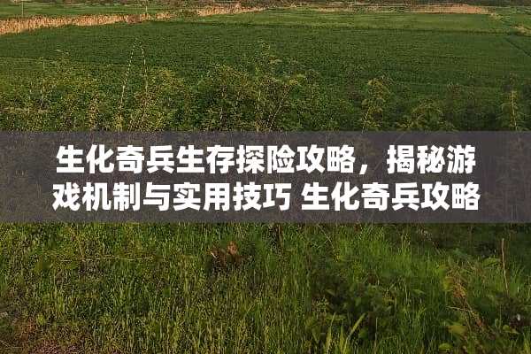 生化奇兵生存探险攻略，揭秘游戏机制与实用技巧 生化奇兵攻略