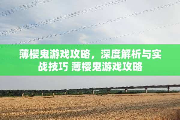 薄樱鬼游戏攻略，深度解析与实战技巧 薄樱鬼游戏攻略