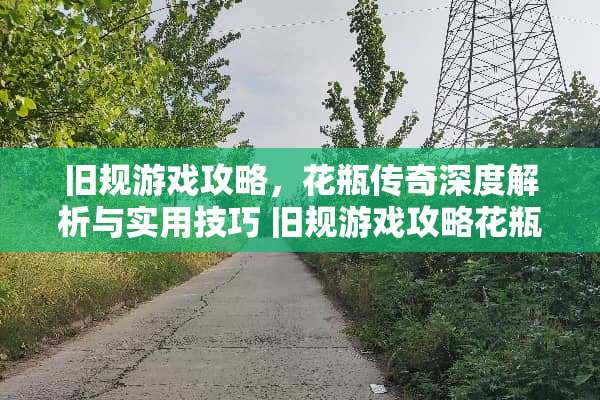 旧规游戏攻略,花瓶传奇深度解析与实用技巧 旧规游戏攻略花瓶 旧规游戏攻略,花瓶传奇深度解析与实用技巧 旧规游戏攻略花瓶