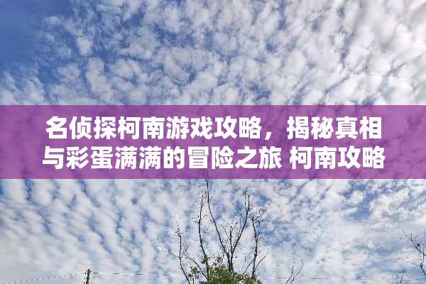 名侦探柯南游戏攻略，揭秘**与彩蛋满满的冒险之旅 柯南攻略游戏推荐