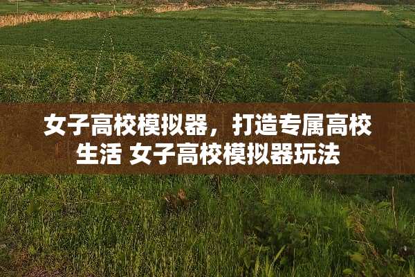 女子高校模拟器,打造专属高校生活 女子高校模拟器玩法 女子高校模拟器,打造专属高校生活 女子高校模拟器玩法