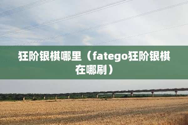 狂阶银棋哪里(fatego狂阶银棋在哪刷) 狂阶银棋哪里(fatego狂阶银棋在哪刷)