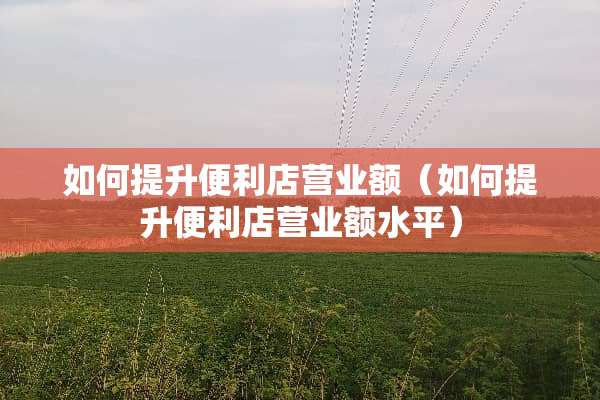 如何提升便利店营业额（如何提升便利店营业额水平）