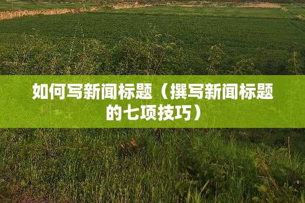 如何写新闻标题（撰写新闻标题的七项技巧）