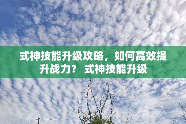 式神技能升级攻略，如何高效提升战力？ 式神技能升级