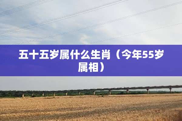 五十五岁属什么生肖（今年55岁属相）