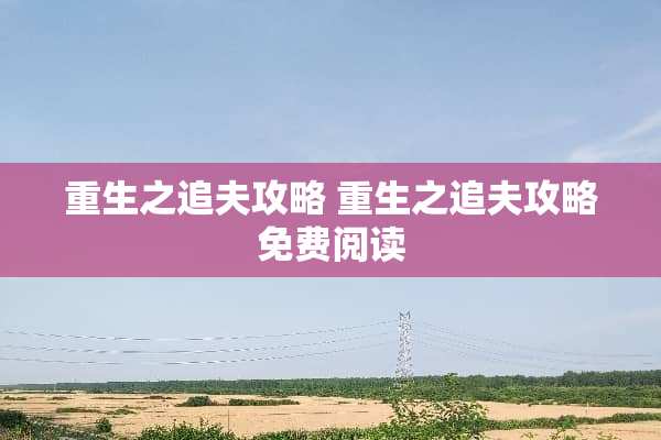 重生之追夫攻略 重生之追夫攻略免费阅读
