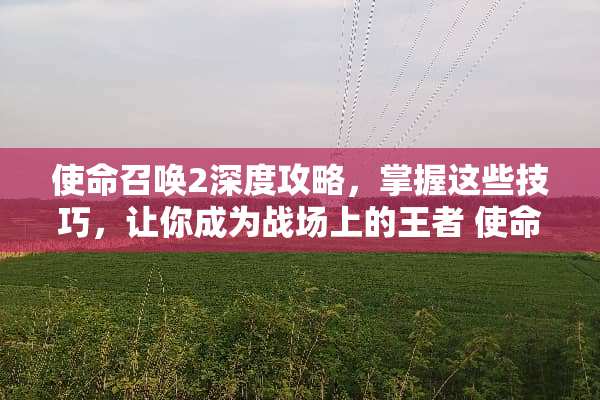 使命召唤2深度攻略，掌握这些技巧，让你成为战场上的王者 使命召唤2游戏攻略