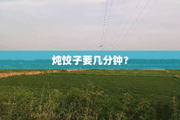 炖饺子要几分钟？