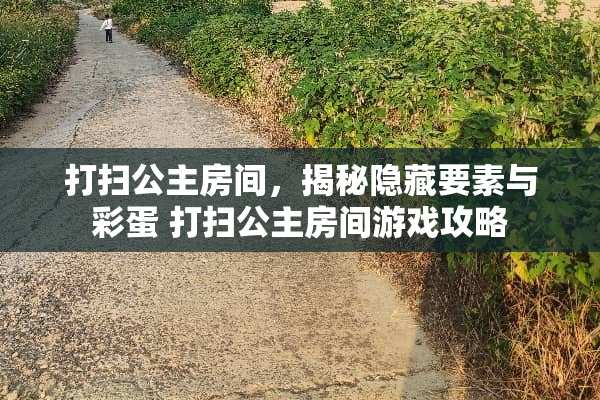 打扫公主房间，揭秘隐藏要素与彩蛋 打扫公主房间游戏攻略