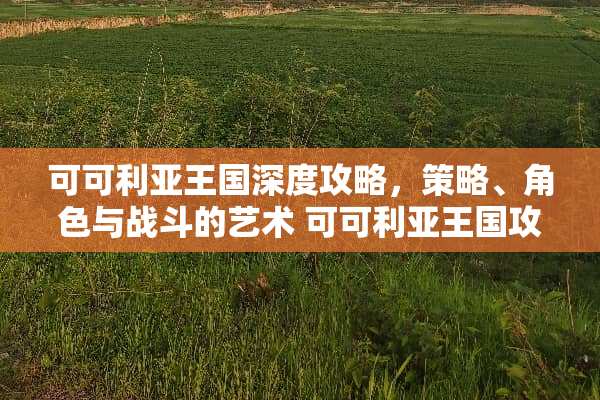 可可利亚王国深度攻略，策略、角色与战斗的艺术 可可利亚王国攻略