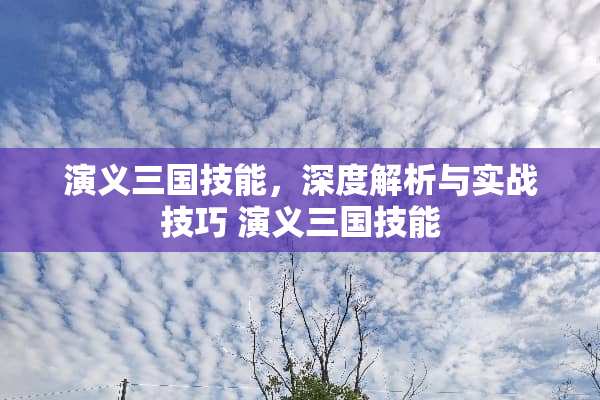 演义三国技能,深度解析与实战技巧 演义三国技能 演义三国技能,深度解析与实战技巧 演义三国技能