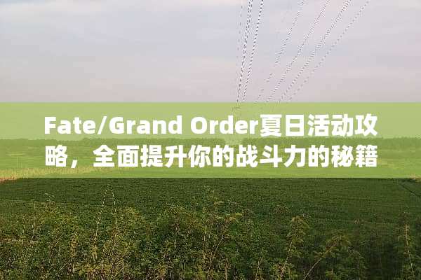 Fate/Grand Order夏日活动攻略，全面提升你的战斗力的秘籍大公开！ fgo夏日活动攻略