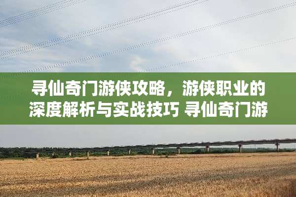 寻仙奇门游侠攻略，游侠职业的深度解析与实战技巧 寻仙奇门游侠攻略