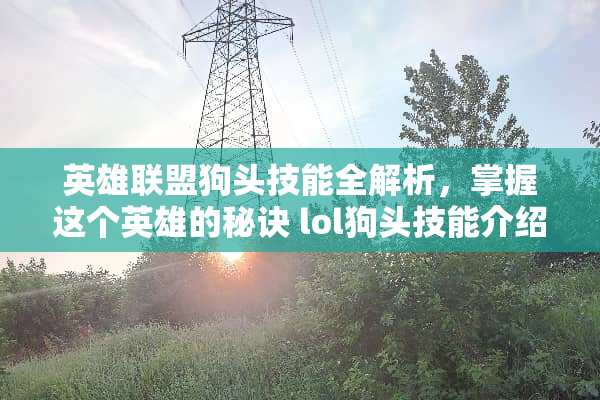 英雄联盟狗头技能全解析，掌握这个英雄的秘诀 lol狗头技能介绍