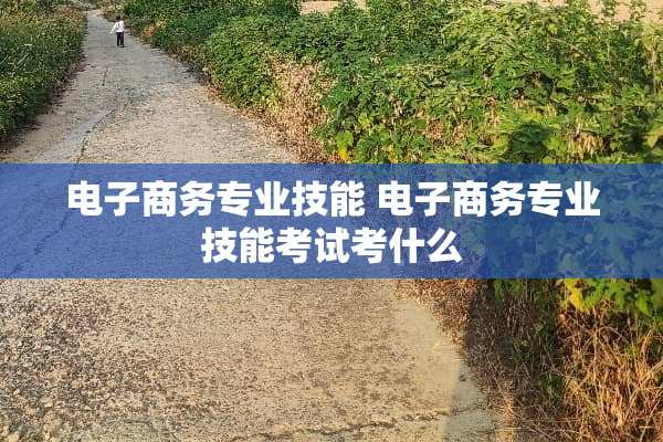 电子商务专业技能 电子商务专业技能考试考什么