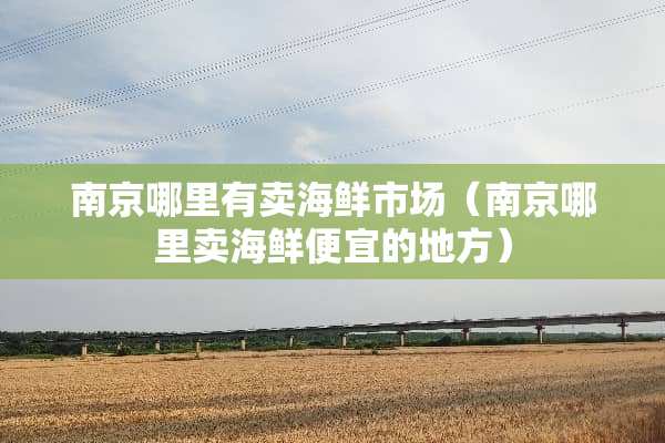 南京哪里有卖海鲜市场（南京哪里卖海鲜便宜的地方）