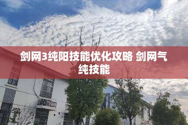 剑网3纯阳技能优化攻略 剑网气纯技能
