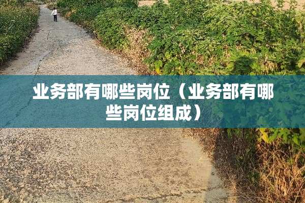 业务部有哪些岗位(业务部有哪些岗位组成) 业务部有哪些岗位(业务部有哪些岗位组成)