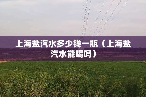 上海盐汽水多少钱一瓶(上海盐汽水能喝吗) 上海盐汽水多少钱一瓶(上海盐汽水能喝吗)