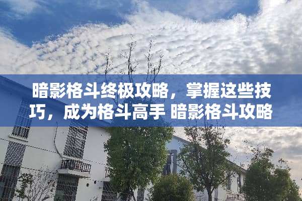 暗影格斗终极攻略,掌握这些技巧,成为格斗高手 暗影格斗攻略 暗影格斗终极攻略,掌握这些技巧,成为格斗高手 暗影格斗攻略