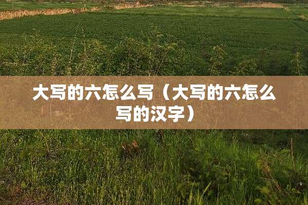 大写的六怎么写（大写的六怎么写的汉字）