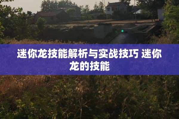 迷你龙技能解析与实战技巧 迷你龙的技能 迷你龙技能解析与实战技巧 迷你龙的技能