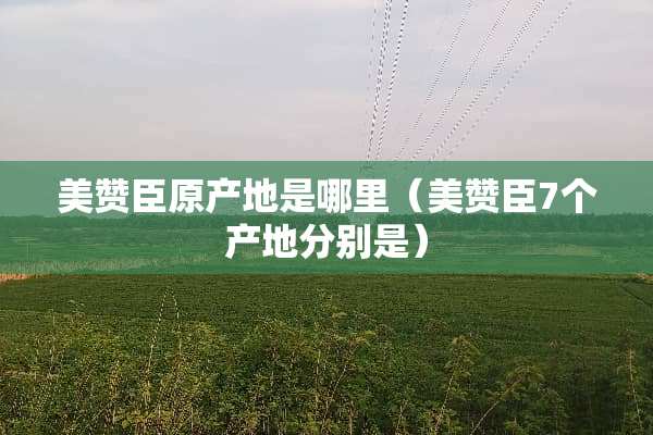 美赞臣原产地是哪里(美赞臣7个产地分别是) 美赞臣原产地是哪里(美赞臣7个产地分别是)
