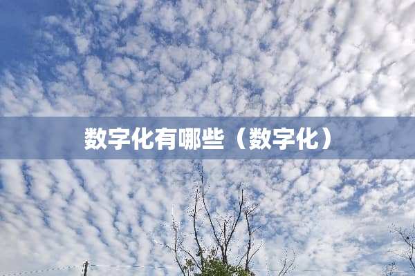 数字化有哪些(数字化) 数字化有哪些(数字化)