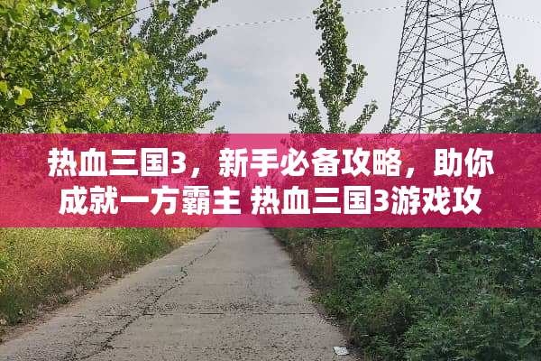热血三国3,新手必备攻略,助你成就一方霸主 热血三国3游戏攻略 热血三国3,新手必备攻略,助你成就一方霸主 热血三国3游戏攻略