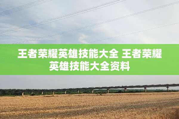 王者荣耀英雄技能大全 王者荣耀英雄技能大全资料