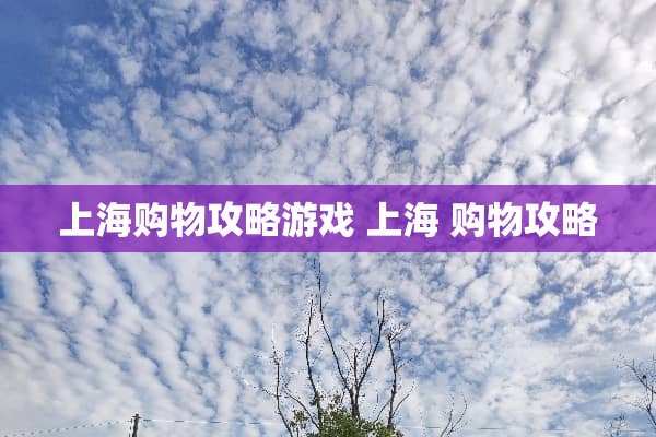上海购物攻略游戏 上海 购物攻略
