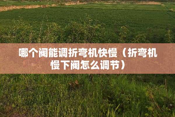 哪个阀能调折弯机快慢(折弯机慢下阀怎么调节)