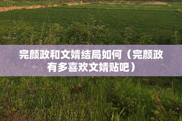 完颜政和文婧结局如何（完颜政有多喜欢文婧贴吧）