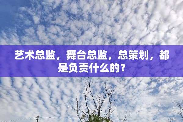 艺术总监，舞台总监，总策划，都是负责什么的？