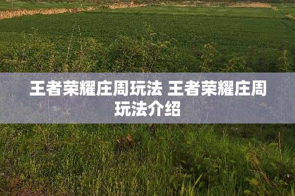 王者荣耀庄周玩法 王者荣耀庄周玩法介绍