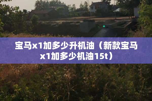 宝马x1加多少升机油（新款宝马x1加多少机油15t）