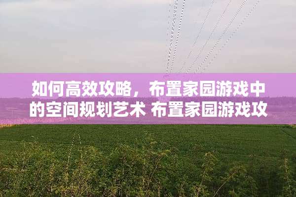 如何高效攻略，布置家园游戏中的空间规划艺术 布置家园游戏攻略