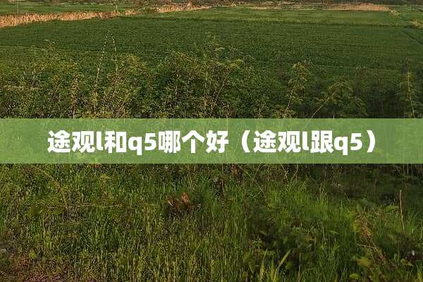 途观l和q5哪个好（途观l跟q5）