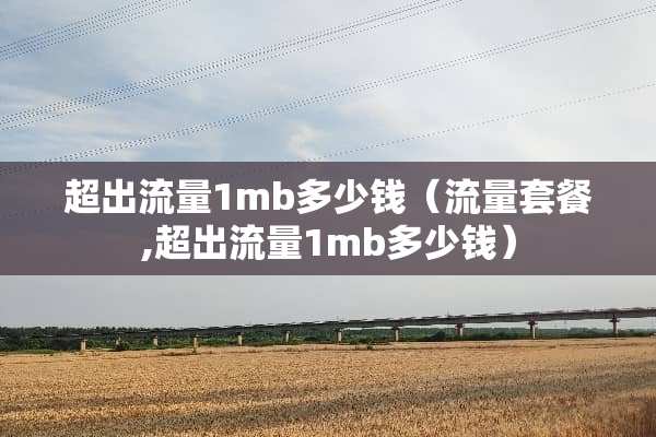 超出流量1mb多少钱（流量套餐,超出流量1mb多少钱）