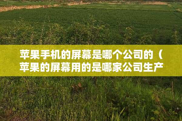苹果手机的屏幕是哪个公司的(苹果的屏幕用的是哪家公司生产的) 苹果手机的屏幕是哪个公司的(苹果的屏幕用的是哪家公司生产的)