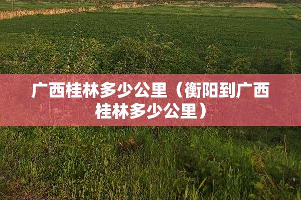 广西桂林多少公里（衡阳到广西桂林多少公里）