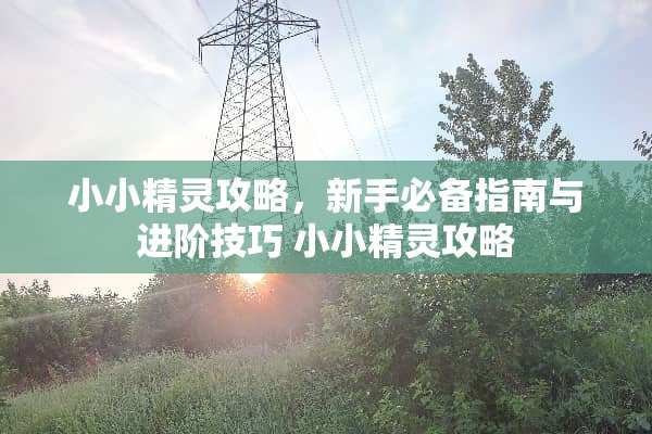 小小精灵攻略，新手必备指南与进阶技巧 小小精灵攻略