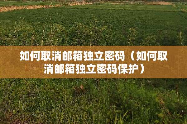 如何取消邮箱**密码(如何取消邮箱**密码保护) 如何取消邮箱**密码(如何取消邮箱**密码保护)