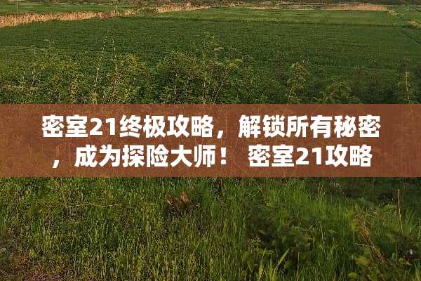 密室21终极攻略，解锁所有秘密，成为探险大师！ 密室21攻略