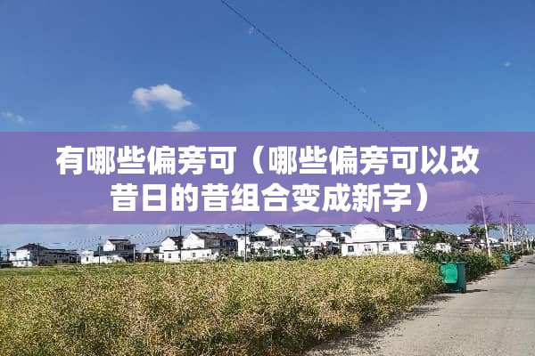 有哪些偏旁可（哪些偏旁可以改昔日的昔组合变成新字）