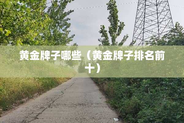 黄金牌子哪些（黄金牌子排名前十）