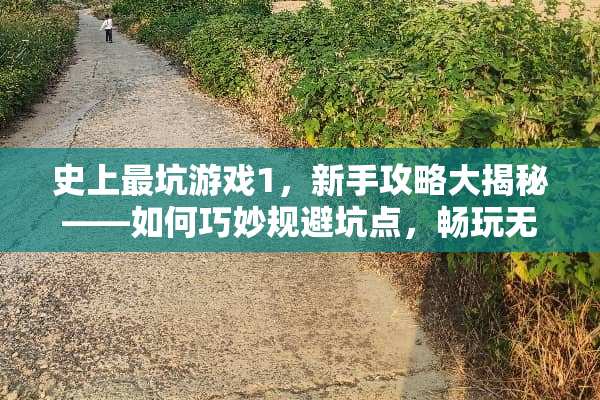 史上最坑游戏1，新手攻略大揭秘——如何巧妙规避坑点，畅玩无阻？ 史上最坑游戏1攻略