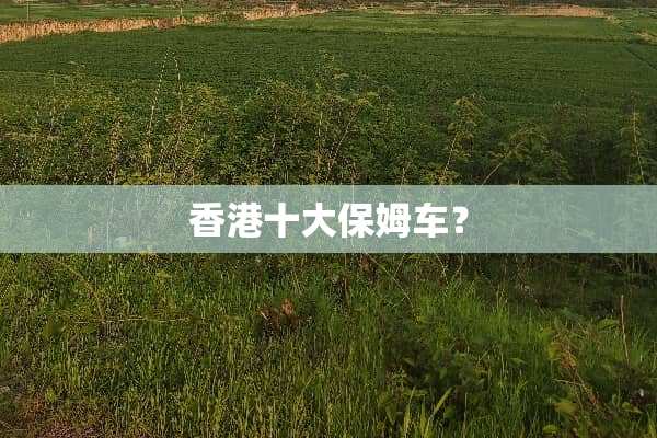 香港十大保姆车？
